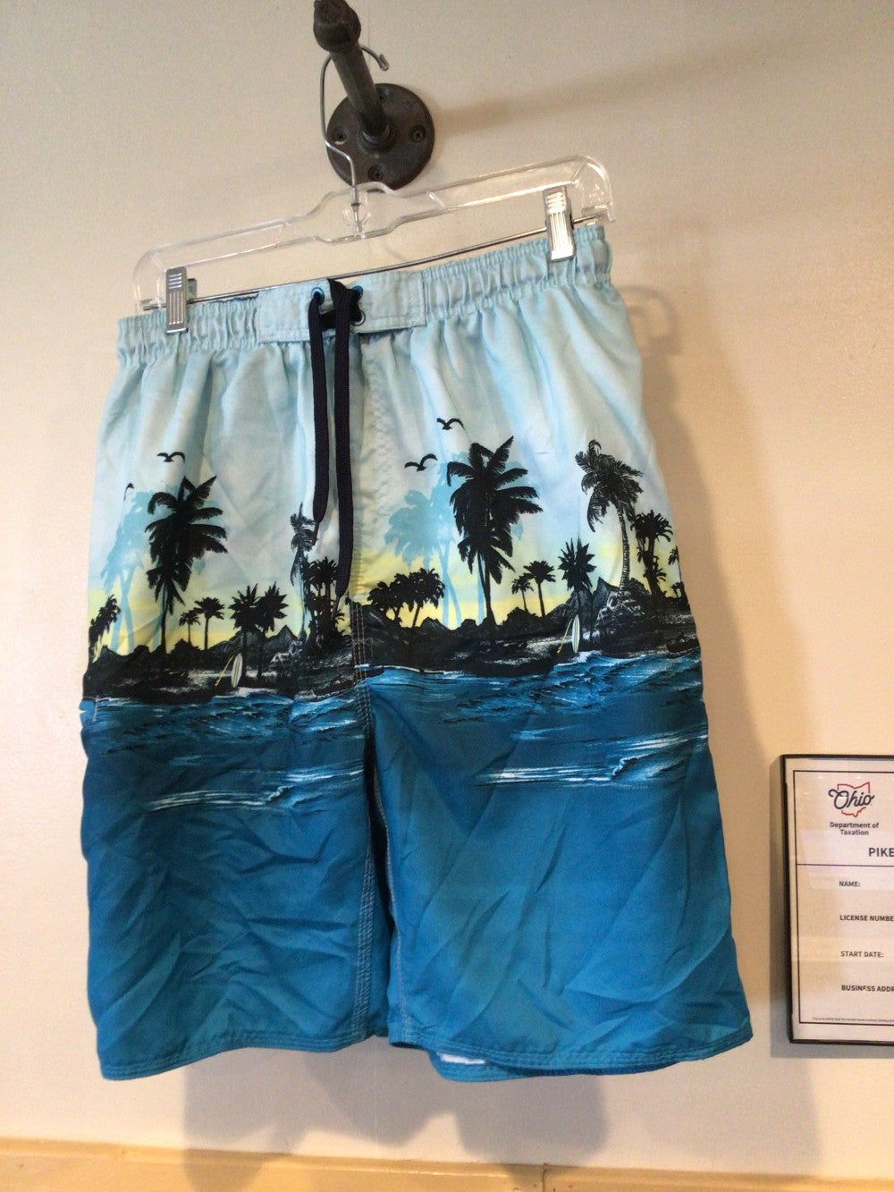 Boys Swim trunks|244